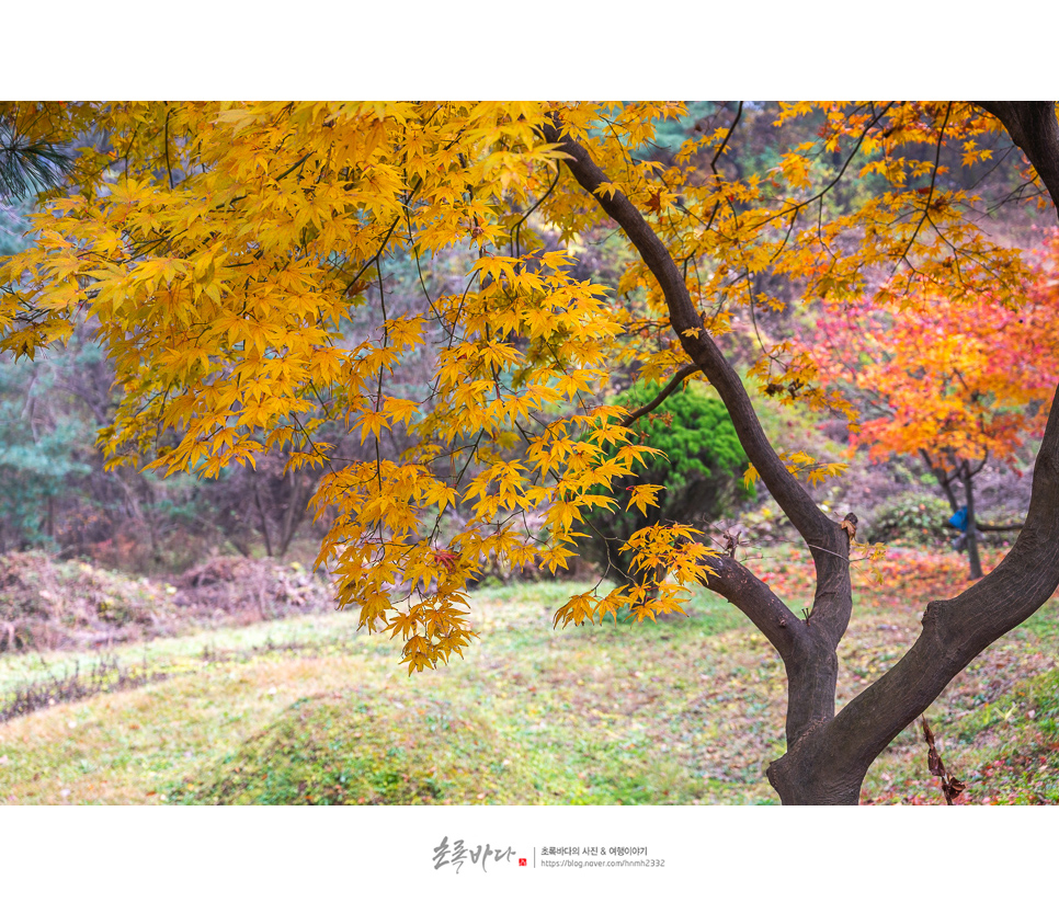 경기도 가을여행지 걷기 좋은길 경기도 오산 독산성 세마대지