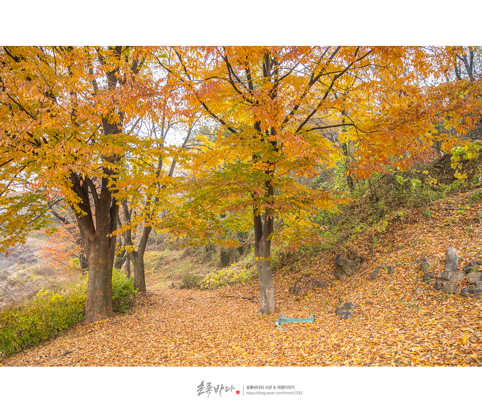 경기도 가을여행지 걷기 좋은길 경기도 오산 독산성 세마대지