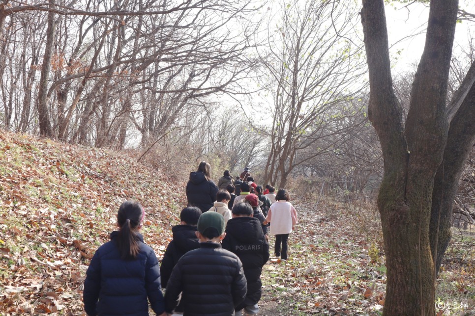 경기도 이천 가볼만한곳 산수유마을 경기생태관광 숲체험