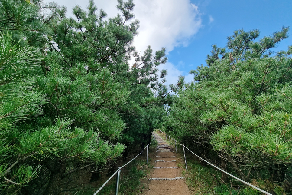 제주도 가볼만한곳 동쪽 풍경 멋졌던 제주 다랑쉬오름