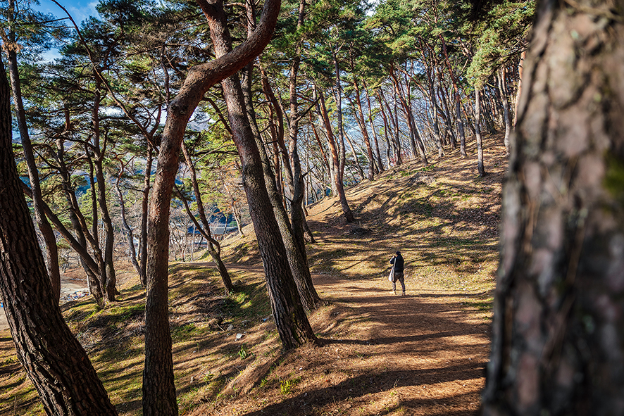 1박 2일 경북 김천 가볼만한곳 여행 코스(직지사, 사명대사공원, 짚라인 외 10곳)