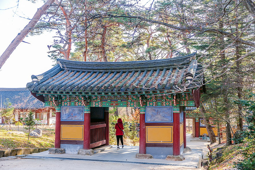 1박 2일 경북 김천 가볼만한곳 여행 코스(직지사, 사명대사공원, 짚라인 외 10곳)