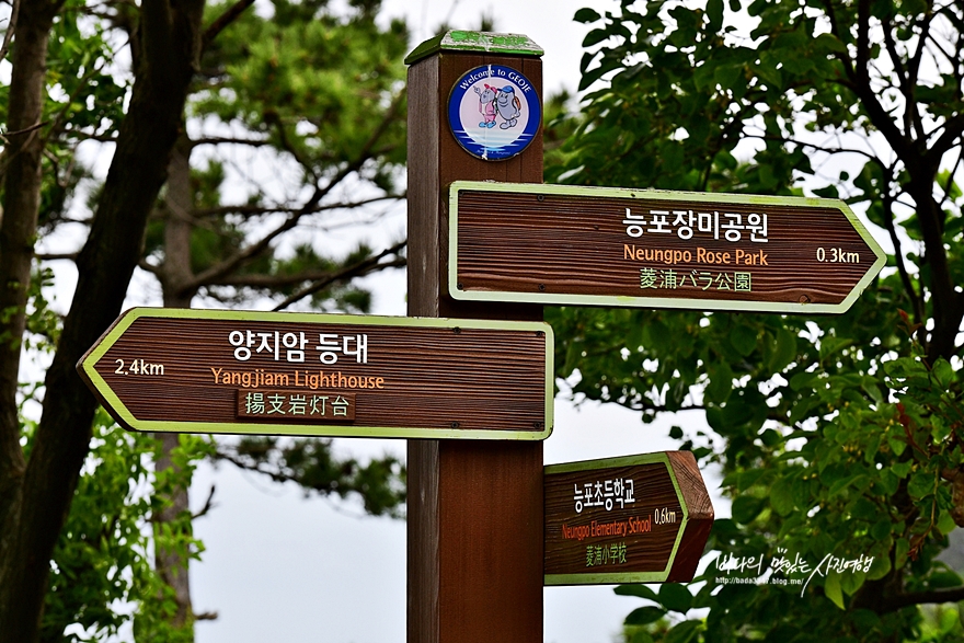 거제 가볼만한곳  능포수변 낚시공원  장승포수변공원  양지암조각공원 등 5곳~