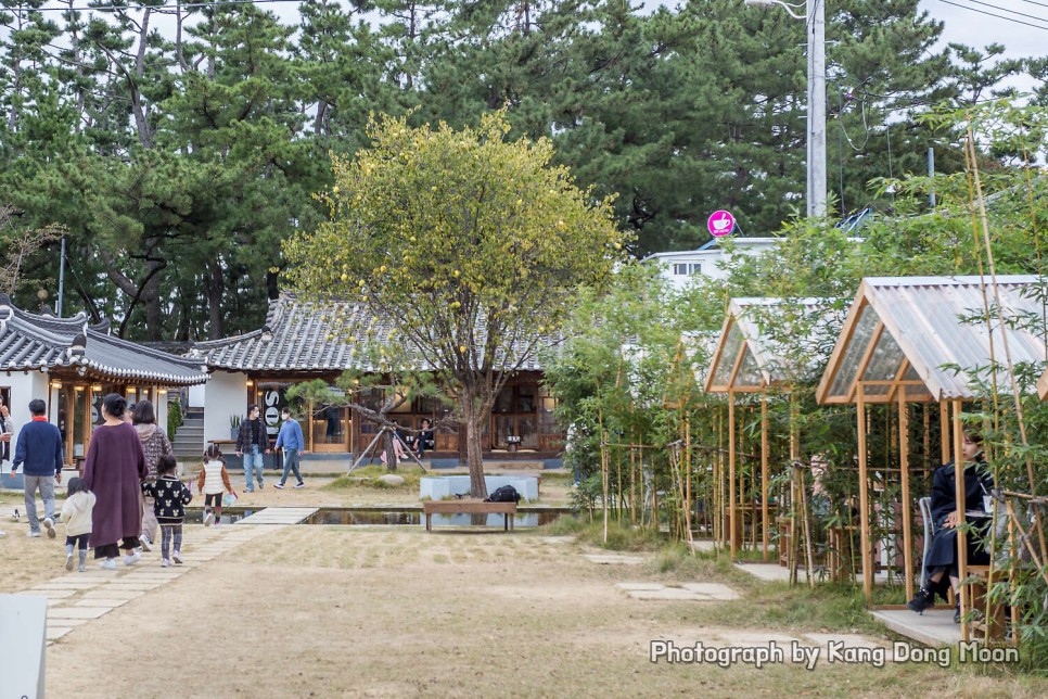 경주 여행 코스 가볼만한곳 국내 여행지 경주 황리단길 볼거리 무료 주차장 댓글로!