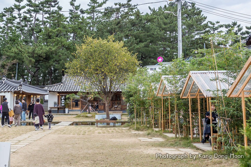 경주 여행 코스 가볼만한곳 국내 여행지 경주 황리단길 볼거리 무료 주차장 댓글로!