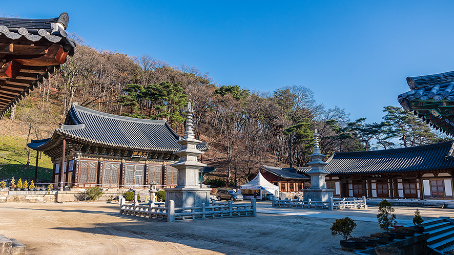 1박 2일 경북 김천 가볼만한곳 여행 코스(직지사, 사명대사공원, 짚라인 외 10곳)