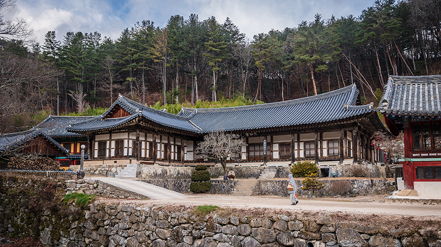 1박 2일 경북 김천 가볼만한곳 여행 코스(직지사, 사명대사공원, 짚라인 외 10곳)