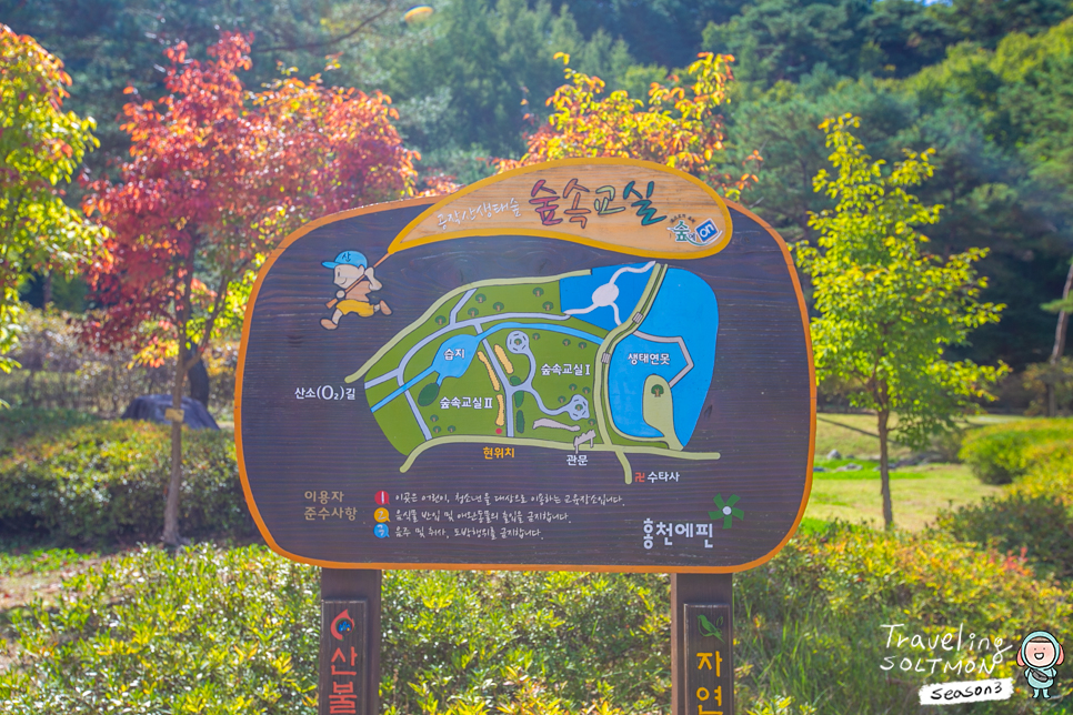 홍천 가볼만한곳 수타사 공작산 생태숲 농촌테마공원