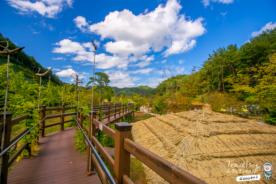 홍천 가볼만한곳 수타사 공작산 생태숲 농촌테마공원