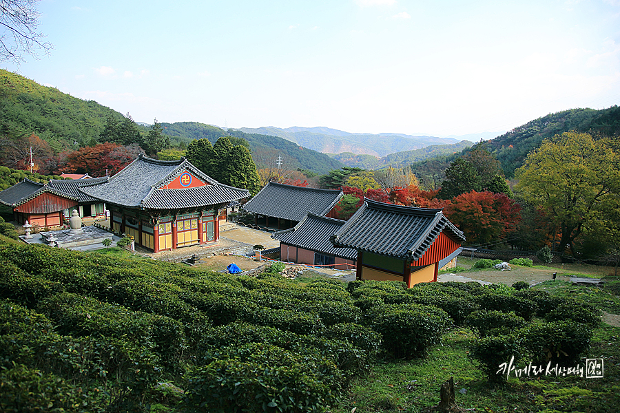 경남 사천 다솔사 단풍명소 겨울여행지 단풍 드라이브