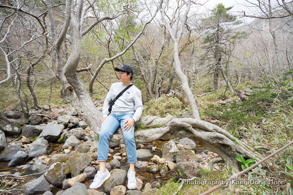 국내 여행지 추천 제주 한라산 춘천 남이섬 남해 보리암 경주 불국사 등 가볼만한곳