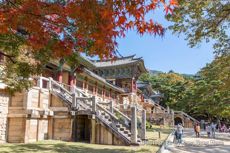 국내 여행지 추천 제주 한라산 춘천 남이섬 남해 보리암 경주 불국사 등 가볼만한곳