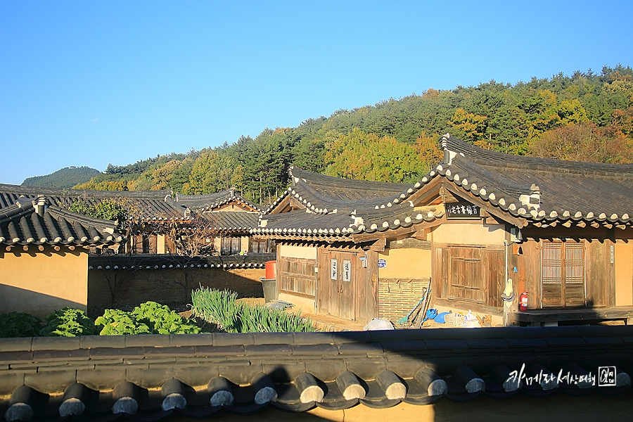 영덕 가볼만한곳 강구항 해파랑공원 외 영덕 여행