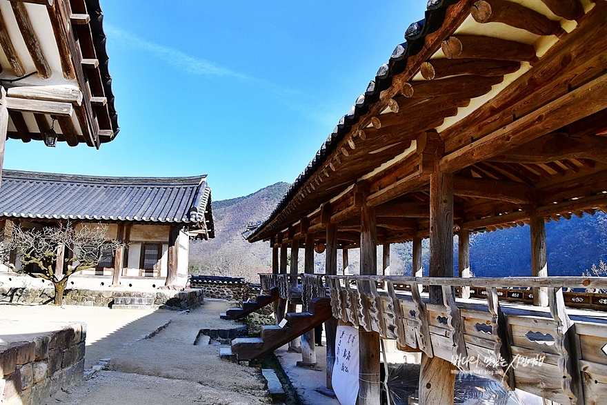 안동 여행코스 병산서원 월영교 구시장찜닭골목 신세동벽화마을 등