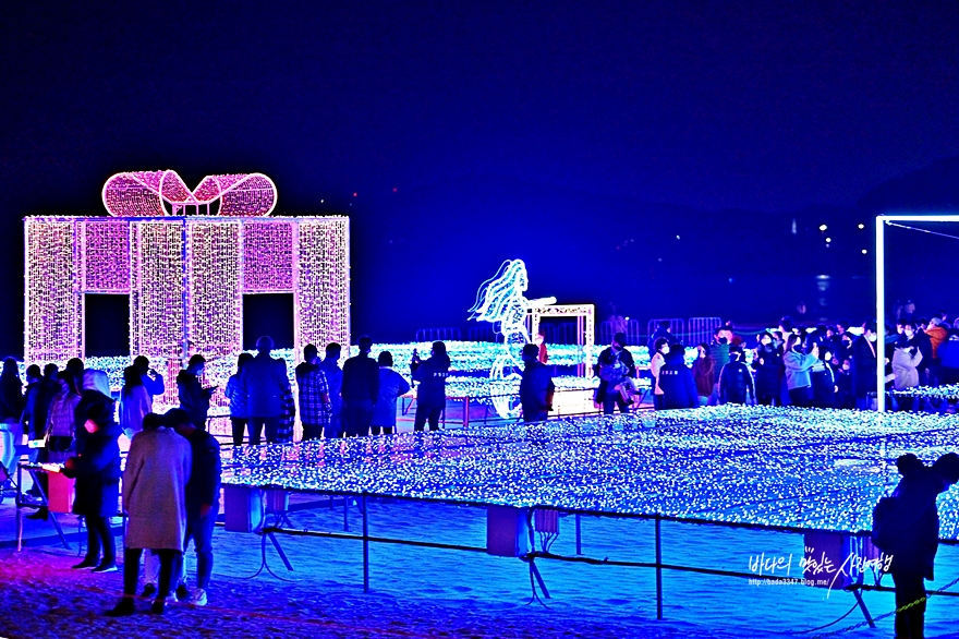부산 여행코스 해운대 빛축제(점등시간) 해운대시장 & 해운대수목원
