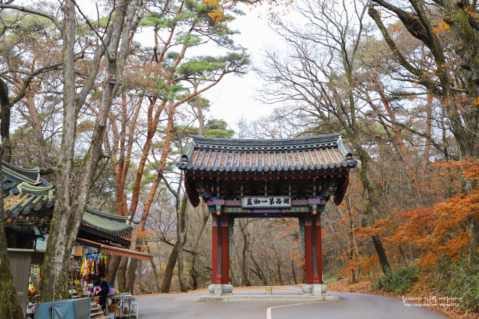 충청도 여행 충북 가볼만한곳 속리산 법주사 전국유명사찰