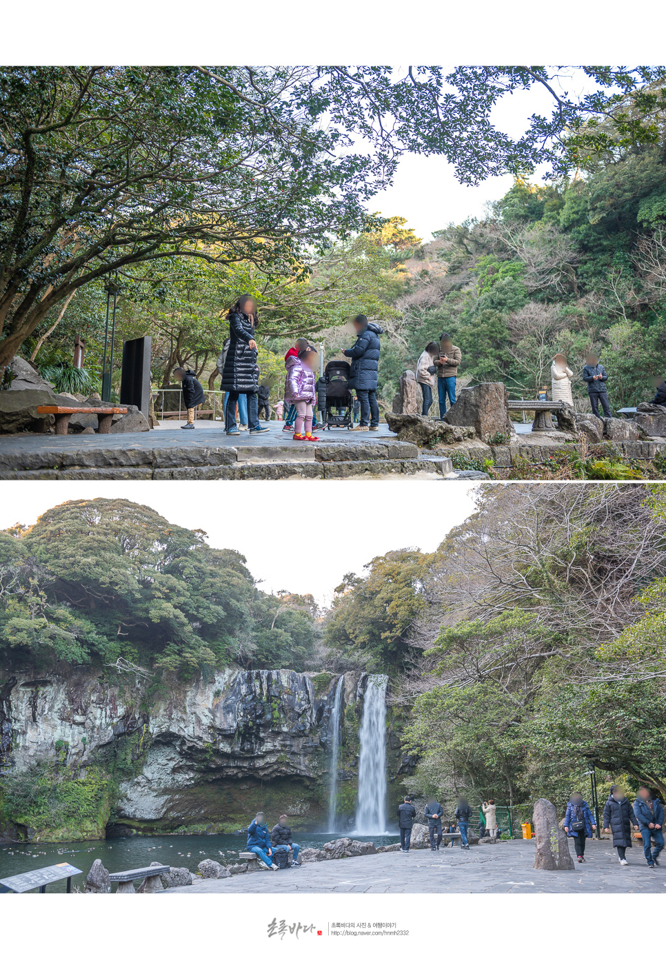 제주 서귀포 가볼만한곳 제주도 휴애리 자연생활공원 외~