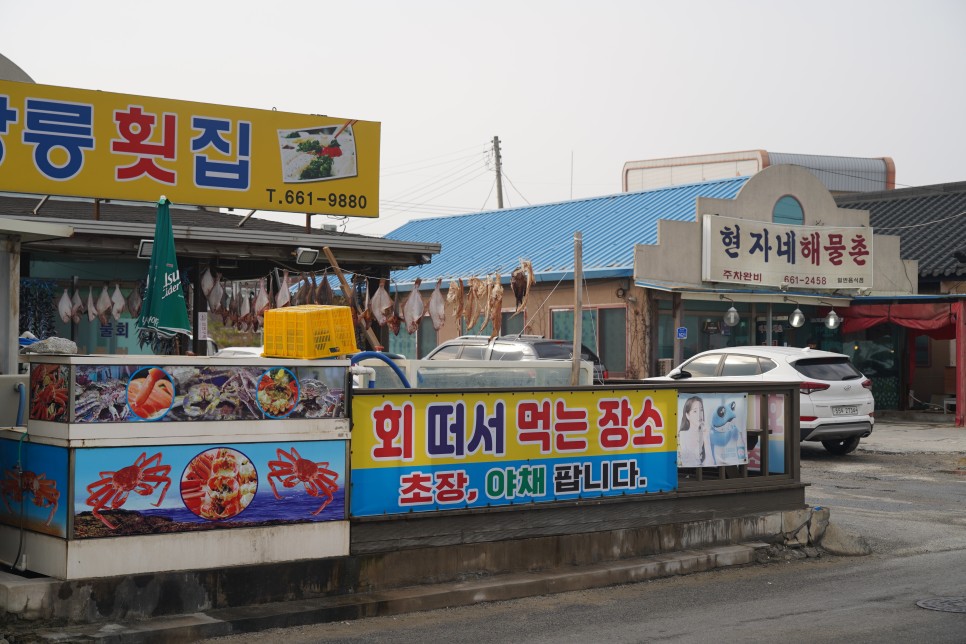 강릉 가볼만한곳 영진해변 향호해변 근처 맛집 리스트