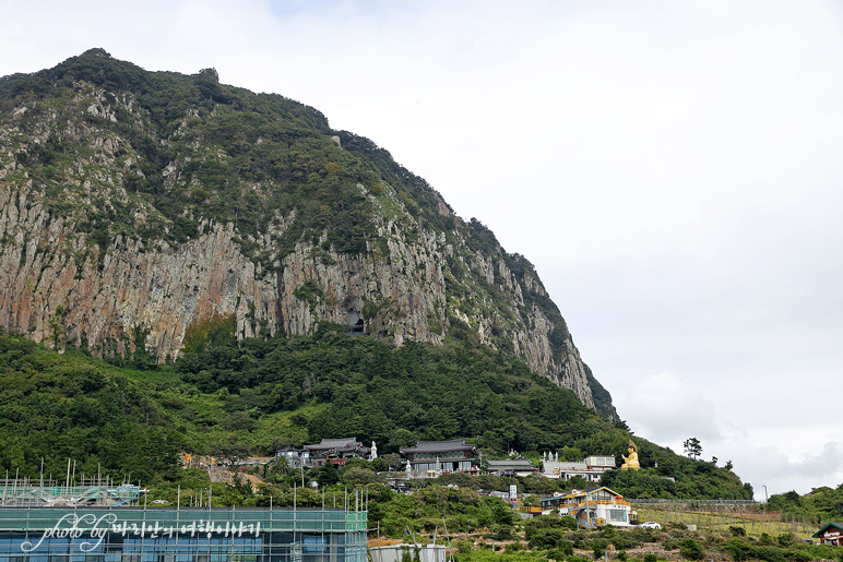 제주 마노르블랑 동백꽃 제주도 서귀포 산방산 용머리해안까지