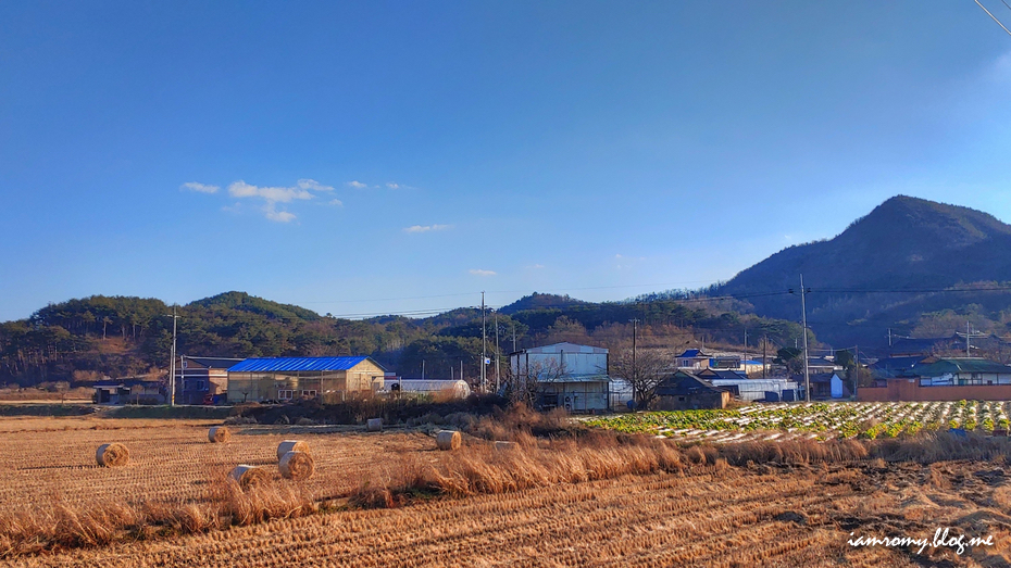 시골 한달살기, 힐링여행하듯 동네산책하며 뻘짓하고 혼자놀기