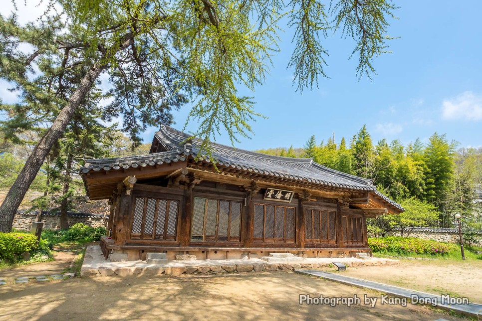 전라도 여행지 추천 전주 한옥마을 익산미륵사지 임실옥정호 무주덕유산 가볼만한곳