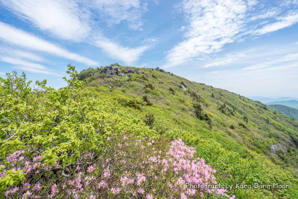 전라도 여행지 추천 전주 한옥마을 익산미륵사지 임실옥정호 무주덕유산 가볼만한곳