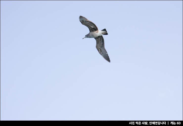 국내 섬여행 제주도 비양도 제주 한림항 배시간 자전거