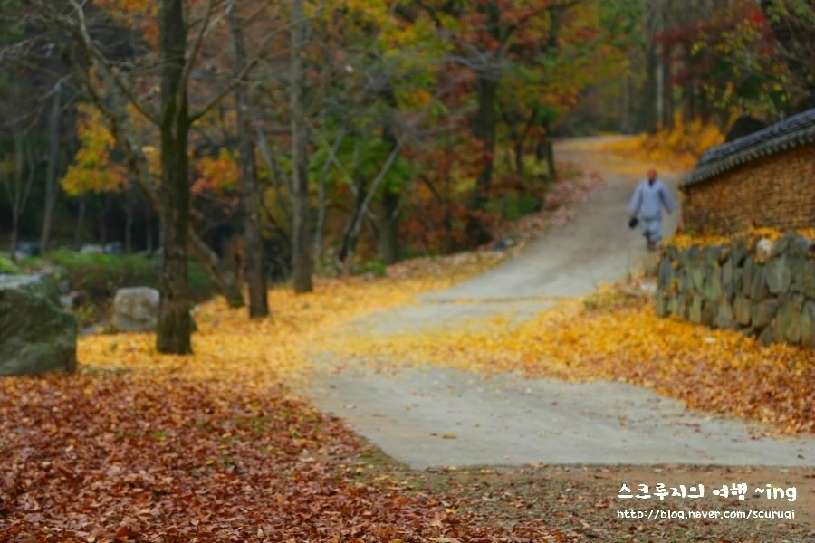 공주 가볼만한곳 공산성, 무령왕릉, 마곡사, 한옥마을, 미르섬, 공주카페