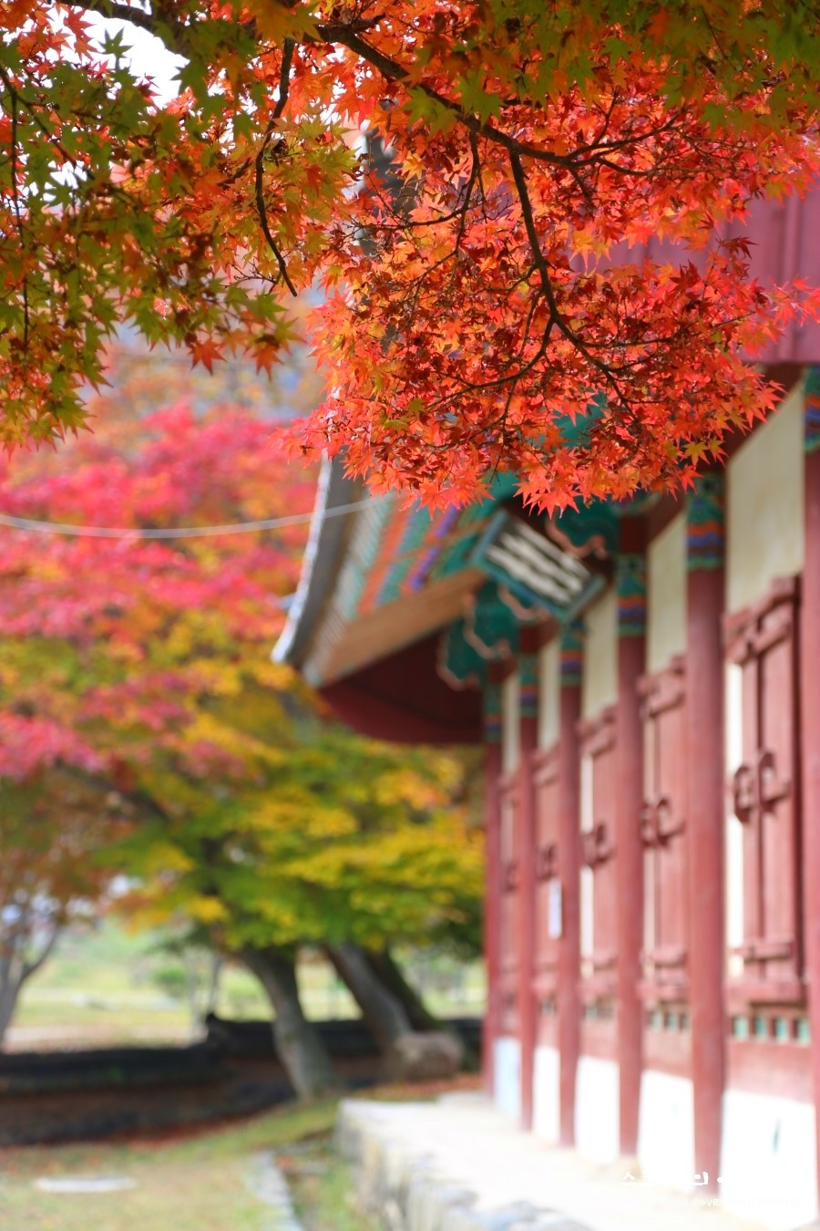 공주 가볼만한곳 공산성, 무령왕릉, 마곡사, 한옥마을, 미르섬, 공주카페