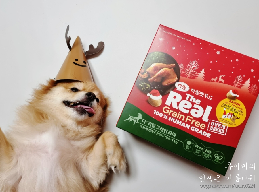 강아지사료추천, 하림펫푸드 더리얼 크리스마스 에디션으로 아이들과 특별한 연말 보내요!!!
