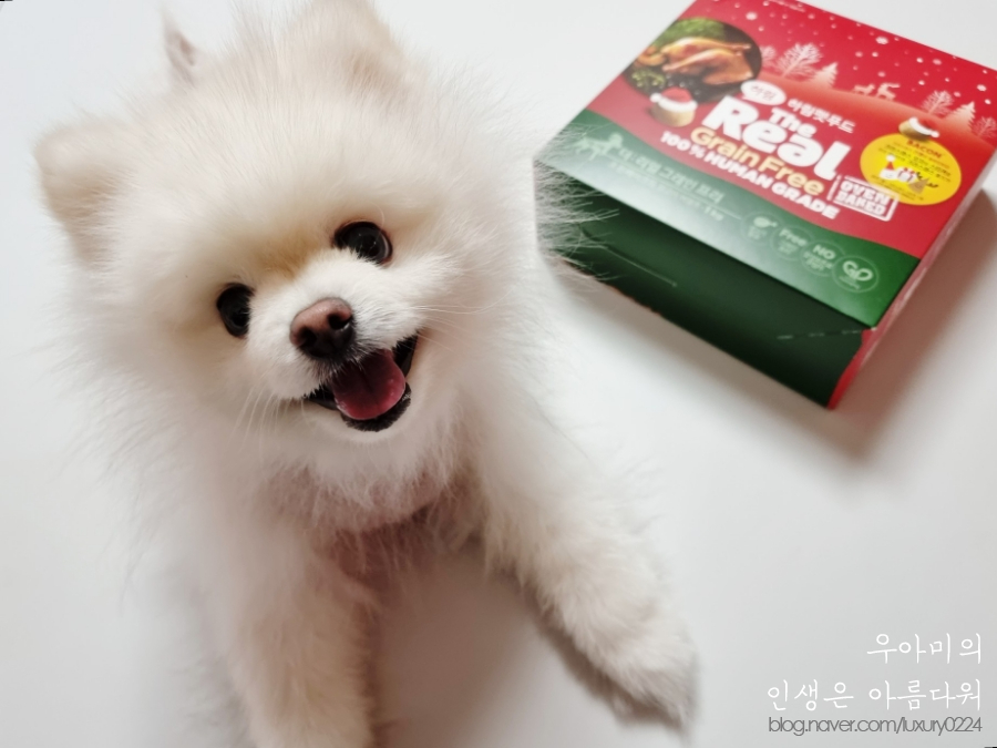 강아지사료추천, 하림펫푸드 더리얼 크리스마스 에디션으로 아이들과 특별한 연말 보내요!!!