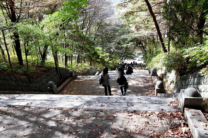 충청도 가볼만한곳 천안 아산여행 공세리성당 외암민속마을 현충사 각원사 등