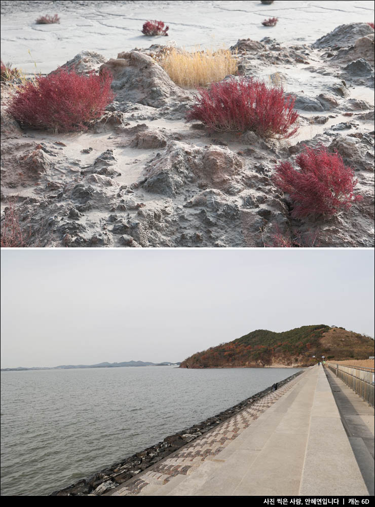 안산 대부도 갈만한곳 바다 공원 등 놀거리