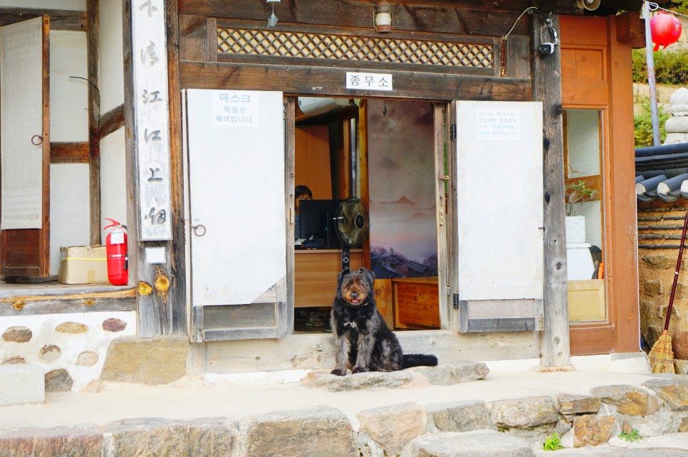 남양주 가볼만한곳 수종사 다산현대프리미엄아울렛 외 경기도 데이트코스