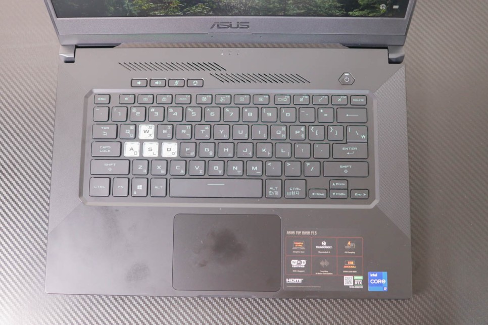 프리미엄노트북 인텔 게이밍노트북 ASUS FX516PR-HN002