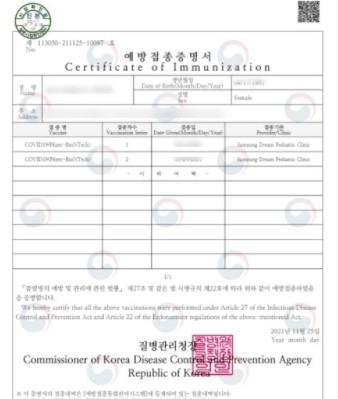 베트남 여행 준비편 영문 PCR 음성확인서, 푸꾸옥 입국서류