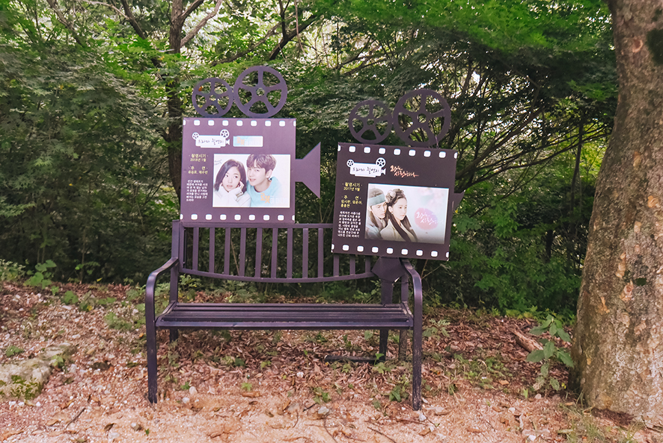 충남 부여 사랑나무 성흥산성 커플 사진 일몰 명소 가볼만한곳