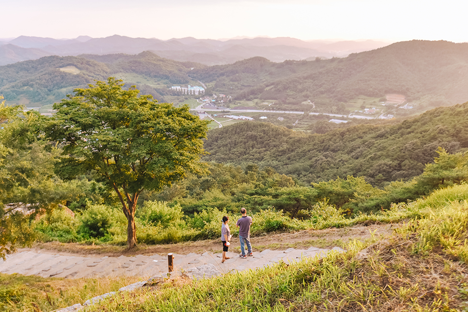 충남 부여 사랑나무 성흥산성 커플 사진 일몰 명소 가볼만한곳