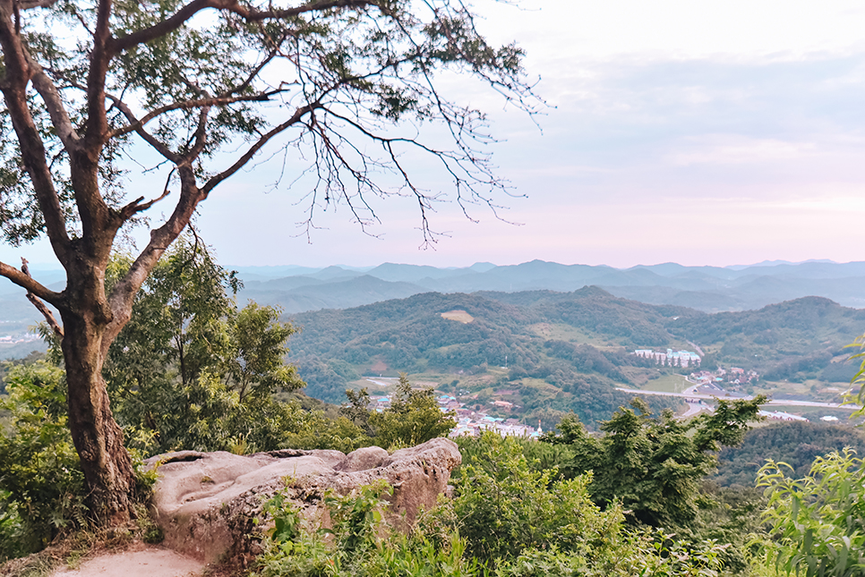 충남 부여 사랑나무 성흥산성 커플 사진 일몰 명소 가볼만한곳