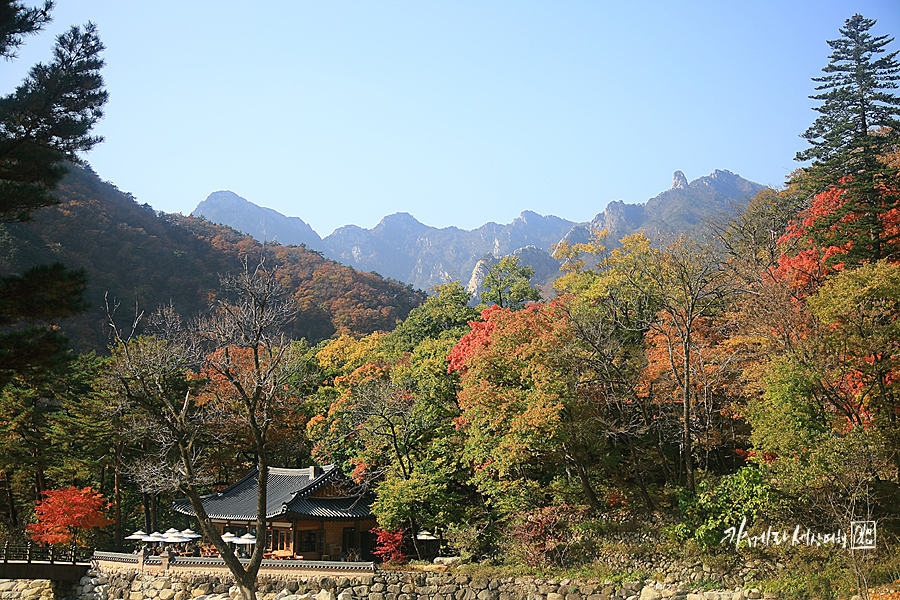 속초 여행 설악산 신흥사 속초 절 강원도 여행지