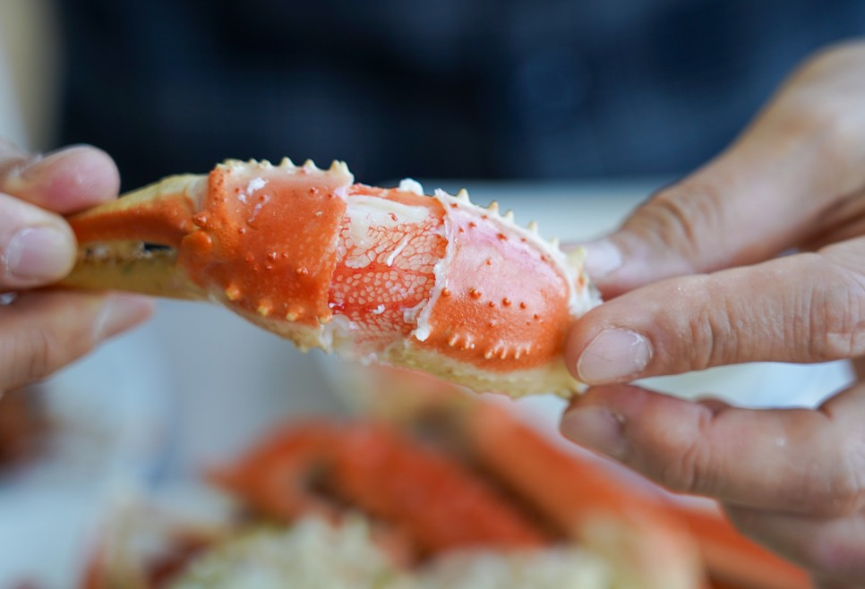 강원도 속초 대포항 대게 맛집 대포대게회직판장 속초먹거리