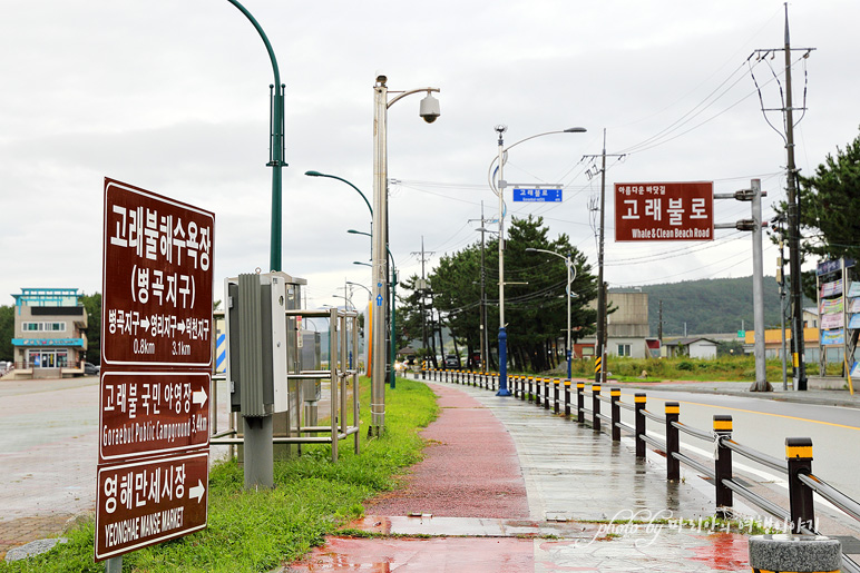 동해안 가볼만한곳 영덕 고래불해수욕장 동해안 7번국도 여행