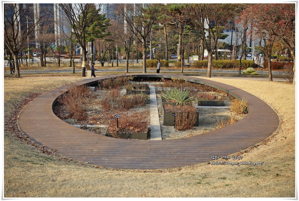 서울 산책 하기좋은곳 여의도 공원