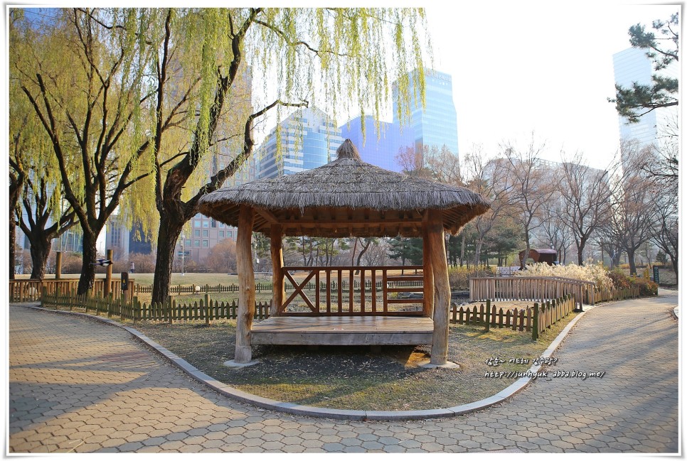 서울 산책 하기좋은곳 여의도 공원