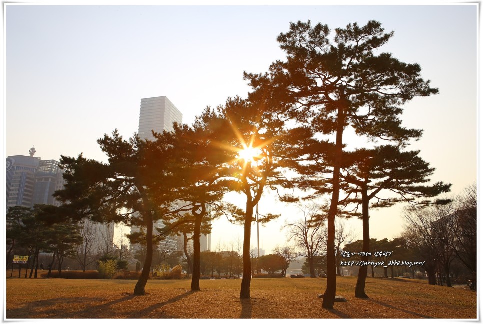 서울 산책 하기좋은곳 여의도 공원