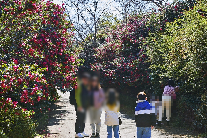 대단했던 제주도 여행코스 정리