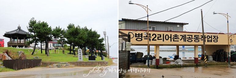 동해안 가볼만한곳 영덕 고래불해수욕장 동해안 7번국도 여행