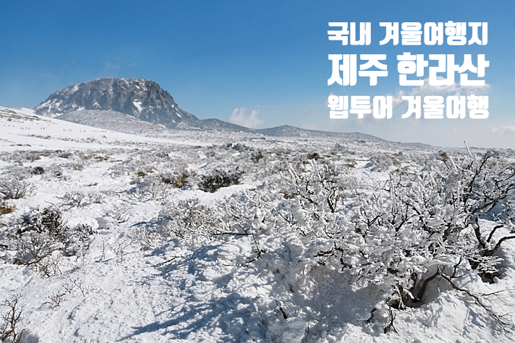국내 겨울여행지 추천 제주 한라산 눈꽃산행 + 웹투어