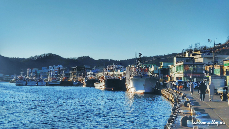 영덕 대게 축제, 강구 오일장부터 강구항 대게거리 지나 동광어시장