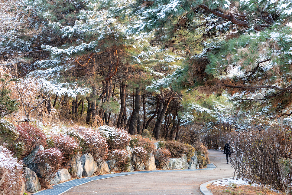 겨울 데이트 코스 서울 가볼만한곳 7 크리스마스 부터 1월까지